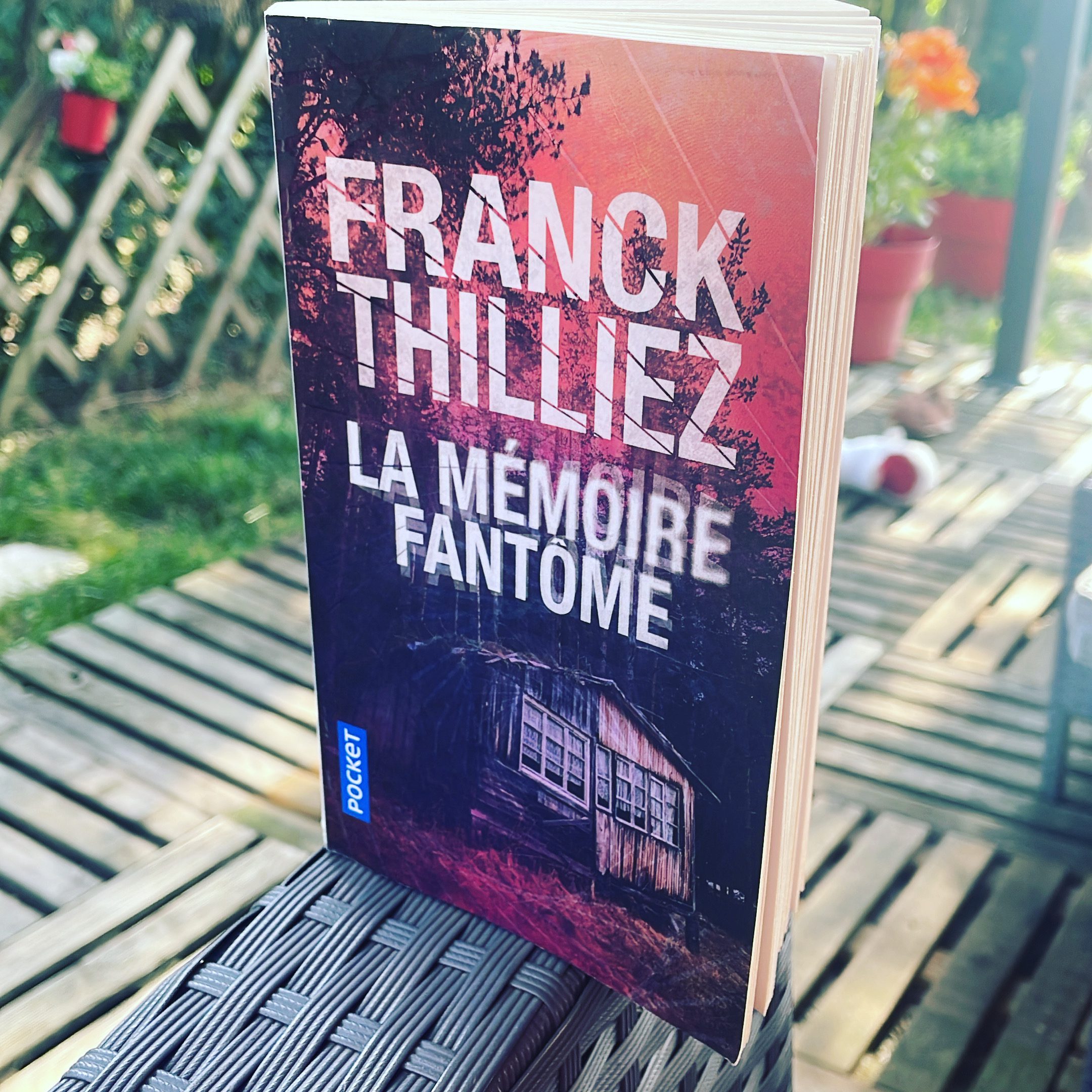 Franck Thilliez, la mémoire fantôme : critique d’un livre passionnant