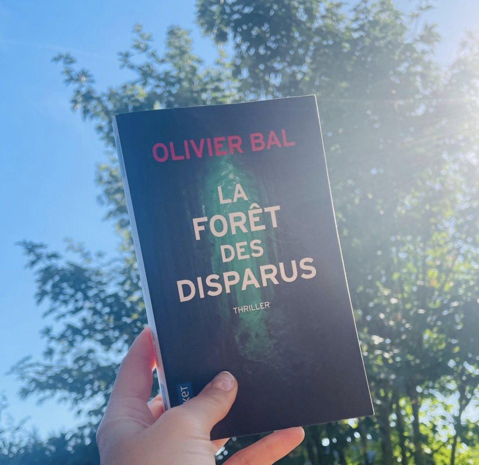 Perdez-vous dans la forêt des disparus d’Olivier Bal