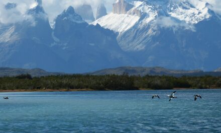 Quand partir en Patagonie pour passer de belles vacances en famille ?