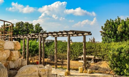 La pergola avec ses lames rétractables est très pratique pour la terrasse