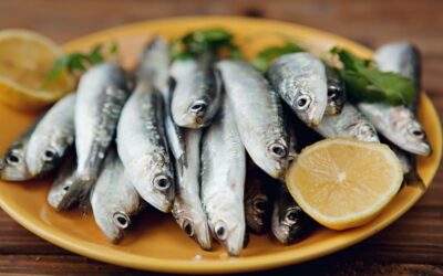 Les sardines, un élément souvent négligé et pourtant il possède de multiples atouts nutritionnels