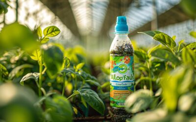 Tout savoir sur Algoflash : l’allié de vos plantes