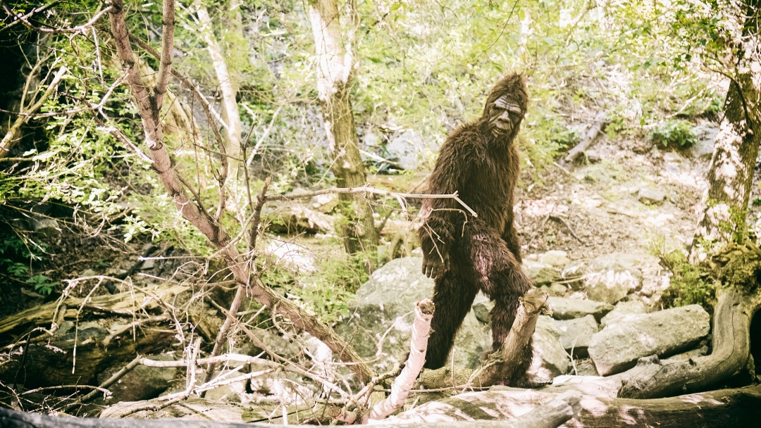 légende du bigfoot