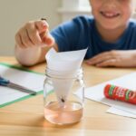 Comment fabriquer un piège à moucheron maison efficace et s'amuser en le testant ? - Featured Image