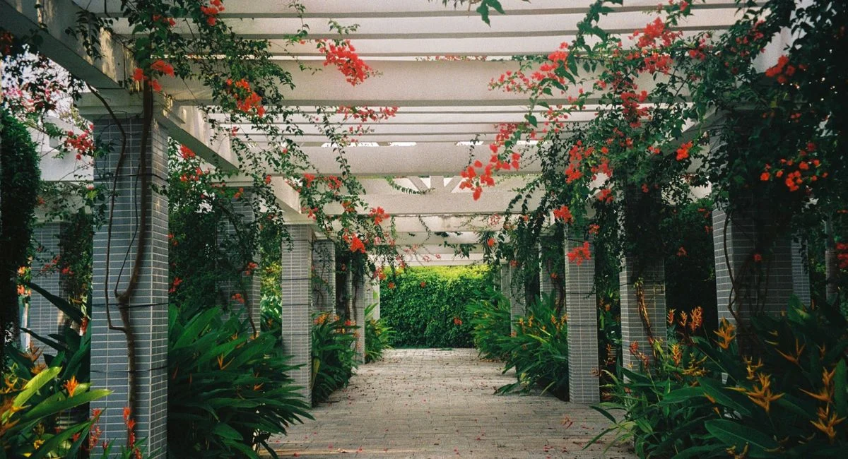Illustration, simulation pergola 3d